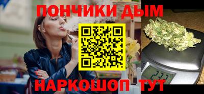 шишки Можга