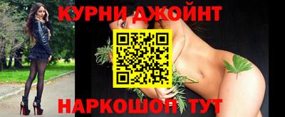 шишки Можга