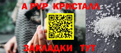 шишки Можга