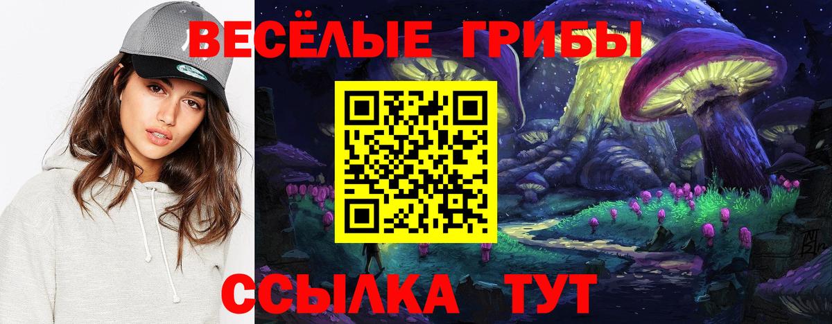 Псилоцибиновые грибы Cubensis Ялуторовск